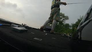 平瀬彪 撮影　遠賀川戦の魚3