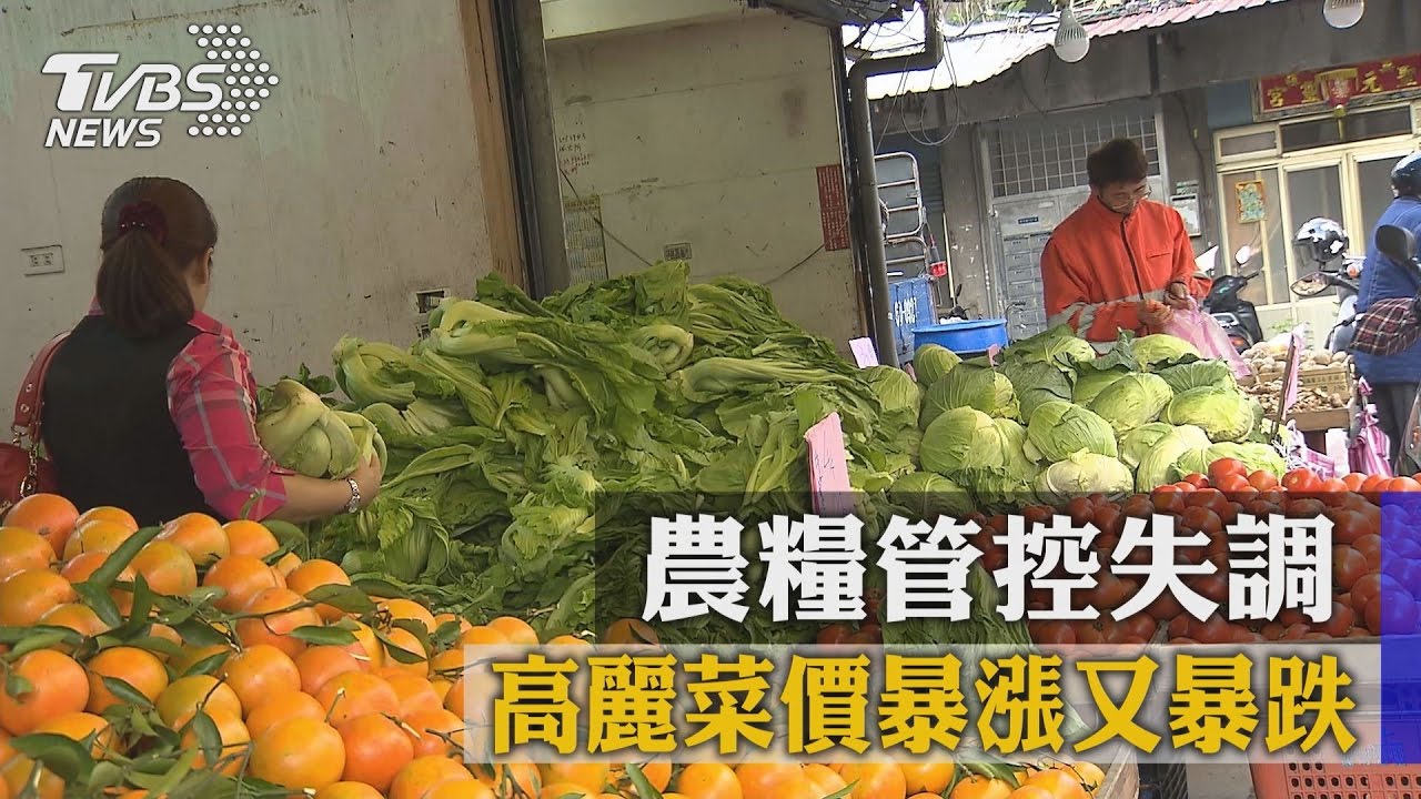 高麗菜價暴漲又暴跌 農糧管控失調