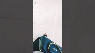 Download lagu Tetap Menjadi Milikmu mp3 Download lagu Tetap Menjadi Milikmu mp3