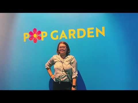 Pop Garden Exhibition in Upper Hutt