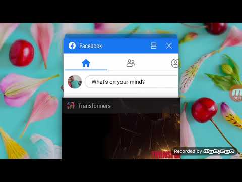 Open 2×premium bot crystal