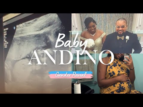 Baby Andino Gender Reveal
