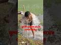 Video Of Beautiful Girls Taking A Bath Is Viral Bathroom Secretvideoproject