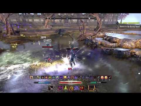 ESO PvP: 2H/Bow StamSorc 1vX