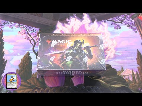 Modern Horizons 2 Draft Booster Box - NICE PULLS!