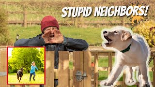 How to Train Your Dog to STOP BARKING at your neighbors!