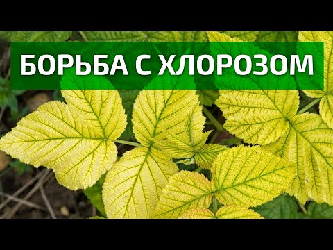 Удобрение органо-минеральное ОЖЗ КУЗНЕЦОВА Богатый 9 микроэлементов 0,1 ...