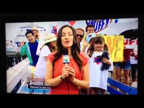 Snuffy The Seal - Shark Week