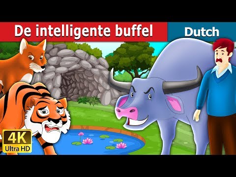 De intelligente buffel | Intelligent Buffalo in Dutch | 4K UHD | Dutch Fairy Tales