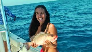 Snappers and Hogfish on the Pipeline