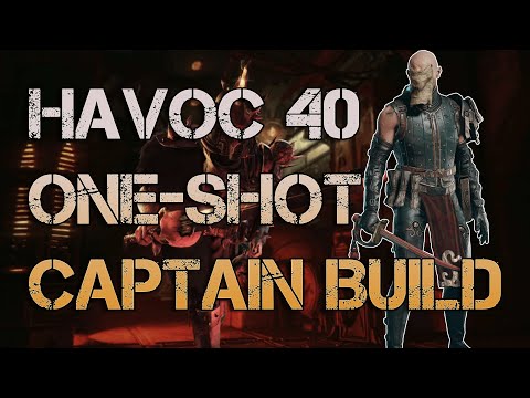 The Ultimate Havoc 40 Zealot Build – One-Shot Every Captain!