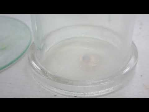 Sodium and chlorine - small scale reaction MVI 0251