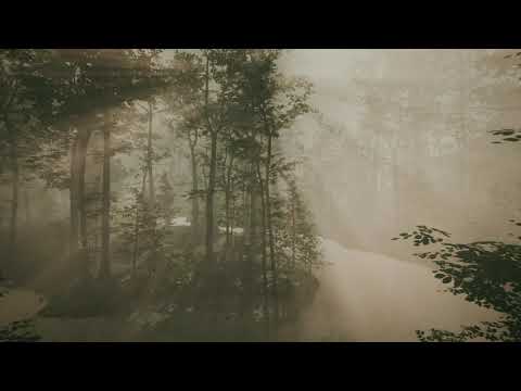 "Blue" - Arbour [Full Album Visual Stream]