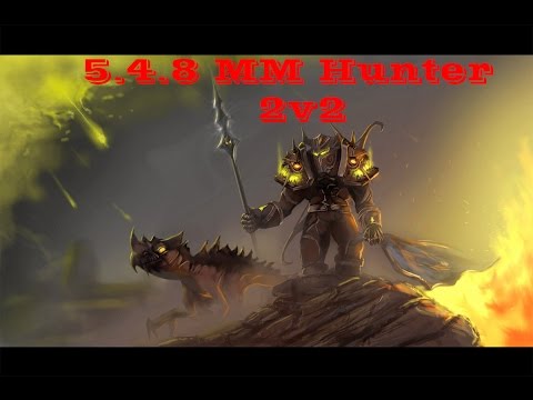 5.4.8 MM Hunter Resto Druid pvp  vs Warlock Resto Shaman (1080p)