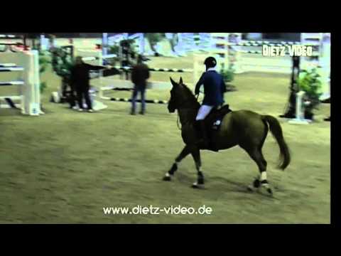 Pokerface 33 Bronislav Chudyba