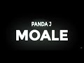 PANDA J - MOALÉ (Beat by ALPHA JAY)