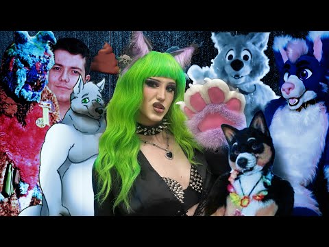 The Wildest Furry Fandom Incidents...