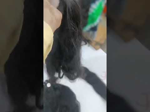 Remy Single Drawn Human Hair Extension