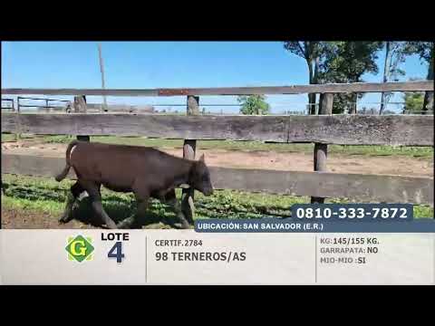 Lote Terneros/as en San Salvador (E.Rios)
