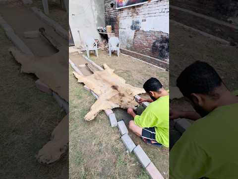 Kash mera pyara simba aj zinda hota😭😭 #ytshorts #sad #sadvedio #simba #died #wildcats #bigcats