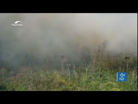 Queimadas na Amazônia repercutem no Senado