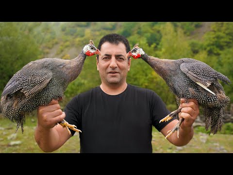 , title : 'GUINEA FOWL COOKING IN OVEN | TANDOORI BAKED RECIPE | ROASTED TEETARI BY WILDERNESS COOKING'