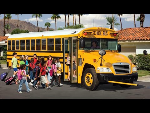 Top 5 American Yellow School Bus Facts | Magic School Bus | Bus Buddies | Famous Rides | Memorable |
