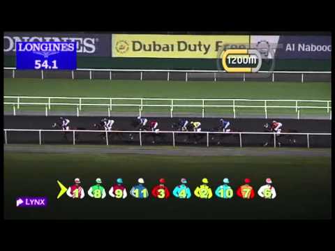 06.12.2012 Meydan (Dubai-UAE) 6.Race Al Basti Cup - 2.000 m