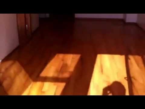 3 bed 2 bath 20th St