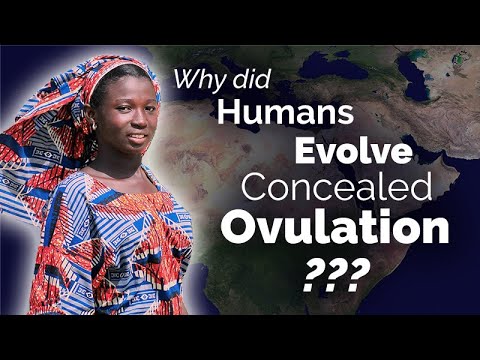CARTA: Unraveling the Origins of Concealed Ovulation in Humans
