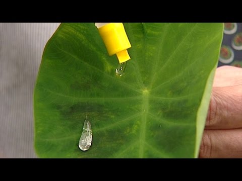 Schulfilm: 360° - die GEO-Reportage - Copyright Natur (Schulfilm-Vorschau)