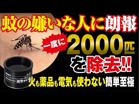 蚊の増殖を避ける方法 庭の濡れた場所での繁殖