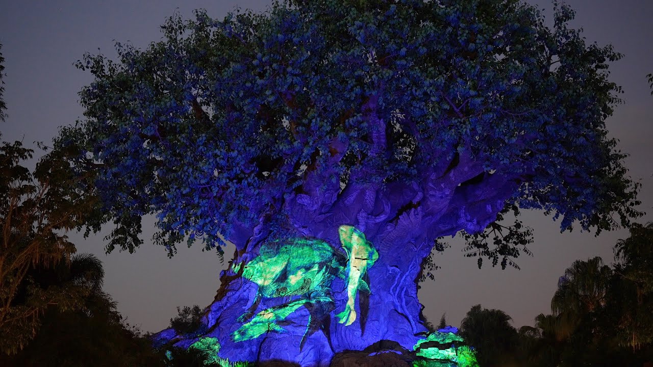 'Avatar: The Way of Water' projection show