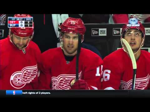 22.01.2016 Detroit Red Wings vs Buffalo Sabres