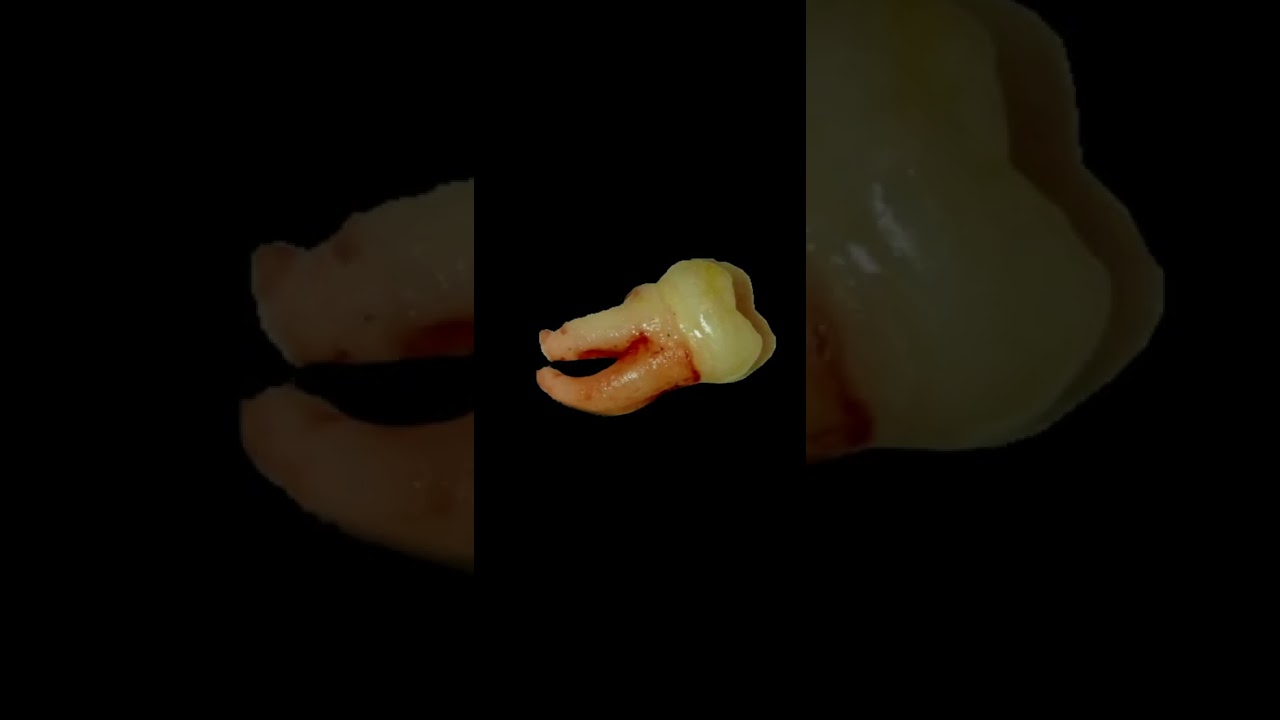 Jorge Luis Trujillo Blásquez-11