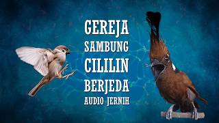 Download lagu Gereja Tarung Sambung Cililin Berjeda Audio Jernih mp3