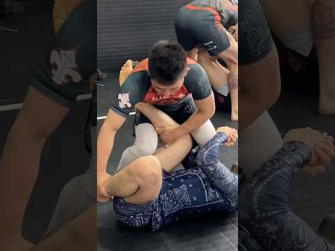 Kガードに対しての極め #グラップリング #bjj #jiujitsu #nogi #mma #柔術