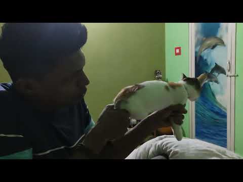 PubG effect 😆😆😆