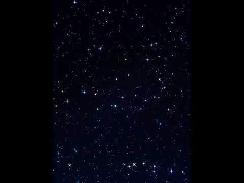 The Disko Starz - Herbs'n spices