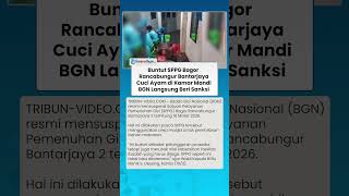 Viral Petugas MBG Bogor Cuci Ayam di WC Masjid, Badan Gizi Nasional Beri Sanksi