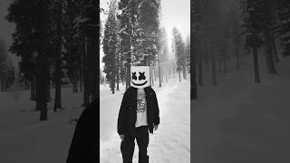 Been in the studio too much, had to step outside