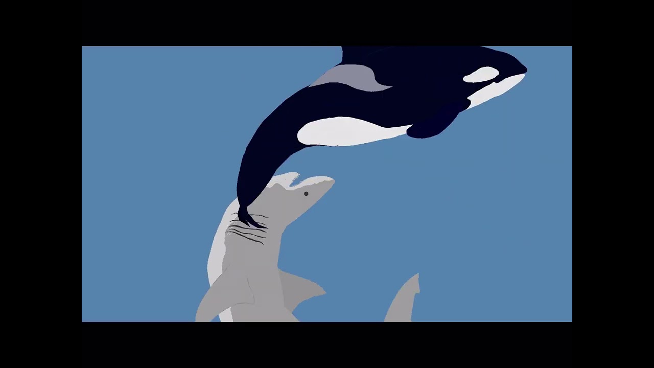 Great White Shark  VS  Orca  II  Sticknodes/ Dc2  Animation