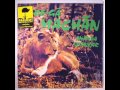 Ananda Shankar ‎– Jungle Symphony ( 1981, Raga Rock, India )