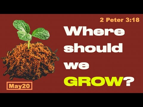 Day 140  [2 Peter 3:18] What growth shoud we have? 365 Spiritual Empowerment