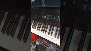 Video thumbnail for Korg SP280 #shortvideo #duettomusic #korg by Duetto Music