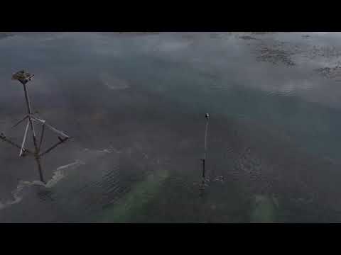 Sandwich Boardwalk Ospreys: Spring 2022