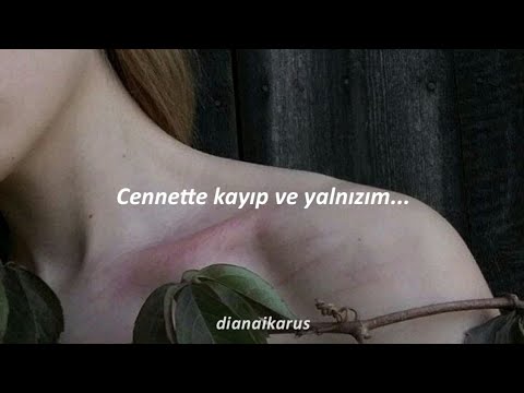 evanescence - lost in paradise (türkçe çeviri)