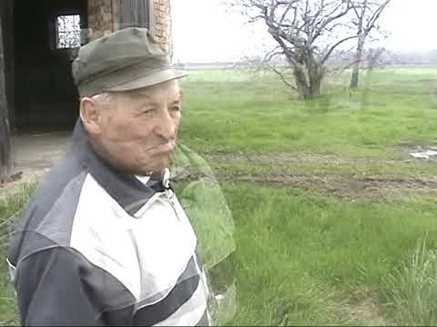 Rohrerföld | JTV Archív | 2004