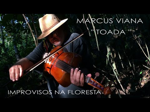 Marcus Viana - "Toada"- Improvisos na Floresta