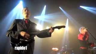 Shaggy Dogs Tribute Dr Feelgood Blois 2014